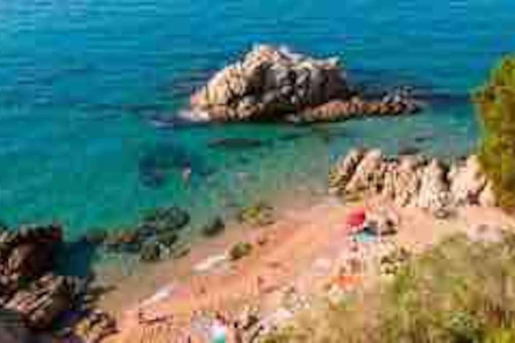 Apartamento “La Caleta” Calella Eksteriør billede